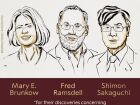 Trio de pesquisadores é responsável por descobertas na área de imunologia 