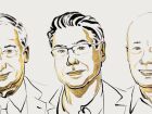 Joel Mokyr, Philippe Aghion e Peter Howitt, o trio que explicou o crescimento econômico impulsionado pela inovação 