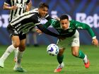 Palmeiras lidera o Brasileirão e tem quase 75% de chance de conquistar o título, segundo a UFMG