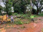 Equipes da Prefeitura trabalham na limpeza de vias alagadas após temporal em Campo Grande