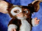 Gizmo, o mogwai mais famoso do cinema, retorna às telonas em Gremlins 3, previsto para 2027.