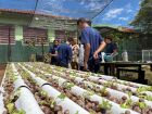 Projeto utiliza água reaproveitada do ar-condicionado para manter a horta hidropônica, envolvendo alunos em todas as etapas.