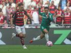 Palmeiras e Flamengo vão decidir a final da Libertadores. 