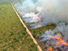 Seminário em dezembro orienta sobre planos de manejo do fogo para prevenir queimadas e incêndios no MS.