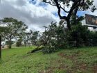 Arvores e diversas estruturas foram destruídas com a tempestade do último domingo (2)