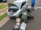 Equipes da Polícia Militar Ambiental e do GRETAP trabalham no resgate de uma jiboia gigante presa no amortecedor de um Honda Fit, na tarde desta segunda-feira (8), no Parque dos Poderes, em Campo Grande