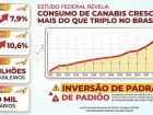Consumo de cannabis cresce entre meninas e mulheres e preocupa pesquisadores