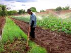 Kits de irrigação devem reforçar a produção das hortas atendidas pelo AgroIntegra CG.