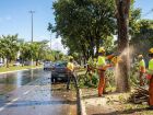 Trabalhadores realizam poda de árvore em área urbana, ação que passa a ter respaldo legal quando há risco comprovado e omissão do órgão ambiental.