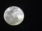 Lua cheia de perigeu ilumina o céu de janeiro; apesar do apelido de superlua, diferença de tamanho quase não é percebida a olho nu.