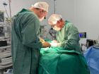 Gêmeos siameses de MT passaram por cirurgia de separação no Hemu.