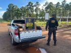 DOF apreendeu 250 litros de defensivos agrícolas contrabandeados durante bloqueio na MS-164, em Ponta Porã.