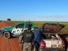 Suspeito tentou se esconder em lavoura de soja após abandonar carro durante fuga em Ponta Porã.