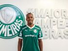 Marlon Freitas é o novo reforço do Palmeiras 