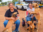 Caravana da Castração leva atendimento veterinário gratuito e ações educativas a municípios de MS