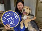 Ação de adoção reúne cães resgatados de maus-tratos em Campo Grande.