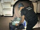 Polícia Federal apreendeu quase 70 kg de cocaína escondidos em caminhão carregado de minério em Terenos.