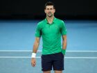 Djokovic anunciou que não disputará o ATP 500 de Doha para priorizar a recuperação física.