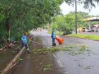 Força-tarefa do município atua em ocorrências provocadas pelas chuvas em Campo Grande
