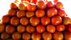 Gastos com comida continuam subindo, mas desaceleração do grupo no IPCA-15 é puxada por recuos em itens básicos como frutas, arroz e tomate