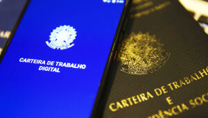 Carteira