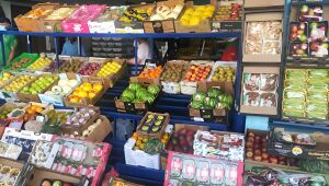Hortifruti no Ceasa