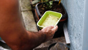 Ações preventivas ajudam a reduzir casos de dengue em Mato Grosso do Sul.