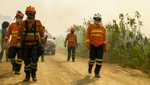 Incêndio no Pantanal