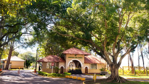 Hospital São Julião sedia o I Fórum Setembro Verde sobre doação de órgãos e córneas, em 24 de setembro, com palestras de especialistas no tema.