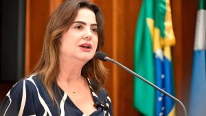 Deputada Mara Caseiro