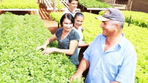 Assembleia Legislativa aprova selo estadual que certifica produtos da agricultura familiar com foco em segurança e valorização regional.