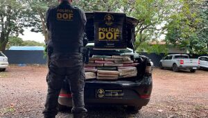 Policial do DOF durante apreensão de 26 quilos de maconha escondidos no porta-malas de um carro abordado em Ponta Porã
