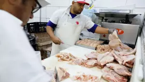 Gripe aviária: 17 países suspendem restrição à carne brasileira 