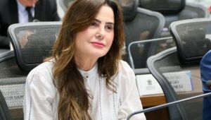 A deputada estadual Mara Caseiro (PSDB)