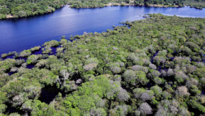 Empréstimo ao Estado do Amazonas terá um prazo de amortização de até 20 anos.