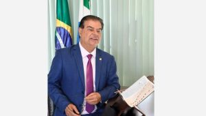 O senador Nelsinho Trad (PSD/MS)