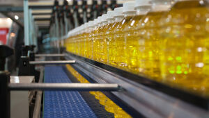 Indústria de MS bate recorde de exportações em maio com US$ 644,7 mi, puxada por celulose, carnes e óleo de soja.