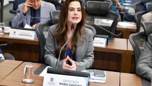 A deputada estadual Mara Caseiro (PSDB)