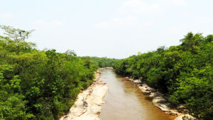 MP investiga uso do fundo ambiental em Coxim e cobra transparência na aplicação dos recursos e funcionamento do Codema.