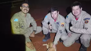 Cachorro cai em buraco de cinco metros em obra e é resgatado com vida pelos bombeiros em Campo Grande.