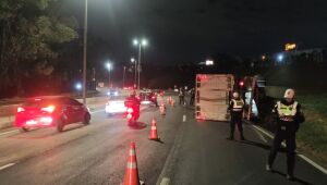 Caminhão carregando grande quantidade de bois tombou no Anel Rodoviário de Belo Horizonte, Minas Gerais, na noite desta quarta-feira, 9. 