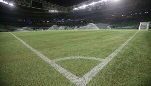 Atual gramado sintético do Allianz Parque foi instalado em 2020