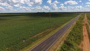 Projeto rodoviário em MS já destinou R$ 217 mil a instituições e alia produção agrícola com impacto social sustentável