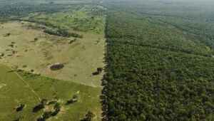 Imagem aérea mostra contraste entre área de fazenda e floresta preservada no Pantanal, tema central do documentário 