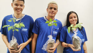 O Grupo Pereira alcançou um marco impressionante com o programa Batismo Verde: mais de 100 mil mudas de árvores foram doadas desde o início da iniciativa!