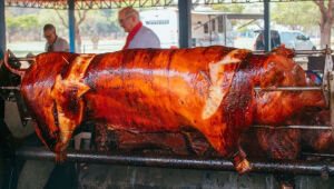 Comida típica e ambiente de lazer: a Festa do Porco no Rolete 2025 será realizada no dia 7 de setembro, na sede da ACICG, em Campo Grande.  