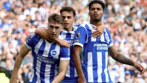 Jogadores do Brighton comemoram gol contra o City   