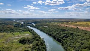 Arauco garante US$ 2,2 bilhões e inicia maior projeto de celulose do MS.