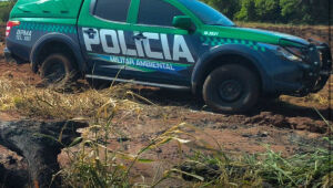 Queimada ilegal de 32 hectares gera multa de R$ 96 mil a proprietário rural em Paraíso das Águas (MS), segundo a PMA.