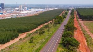 XP vence disputa pela concessão de 870 km de rodovias da Rota da Celulose; governo desclassifica concorrente por problemas em outra concessão.